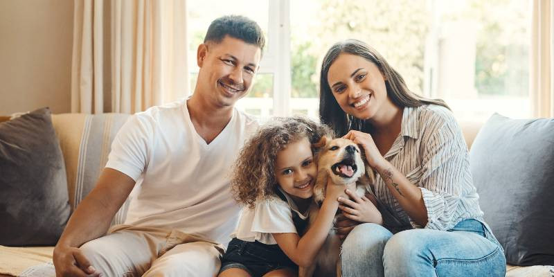 Médiation pour la garde et le bien-être des animaux de compagnie